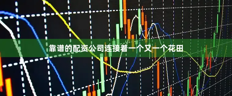 靠谱的配资公司连接着一个又一个花田