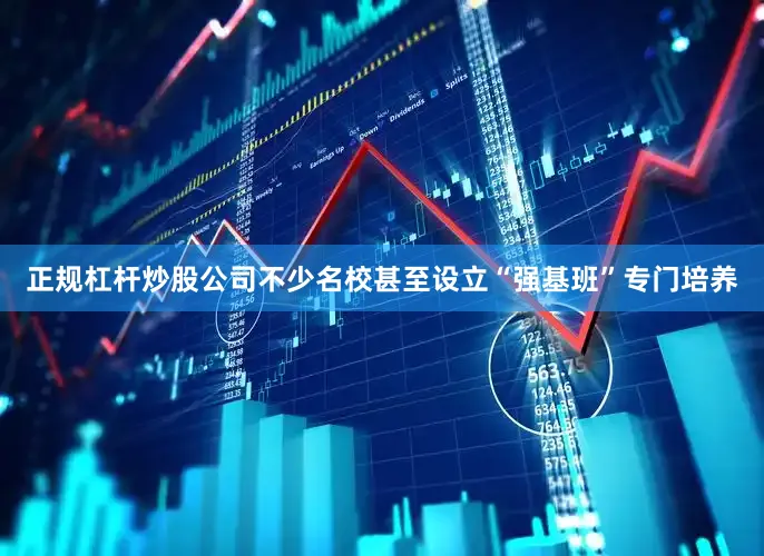 正规杠杆炒股公司不少名校甚至设立“强基班”专门培养